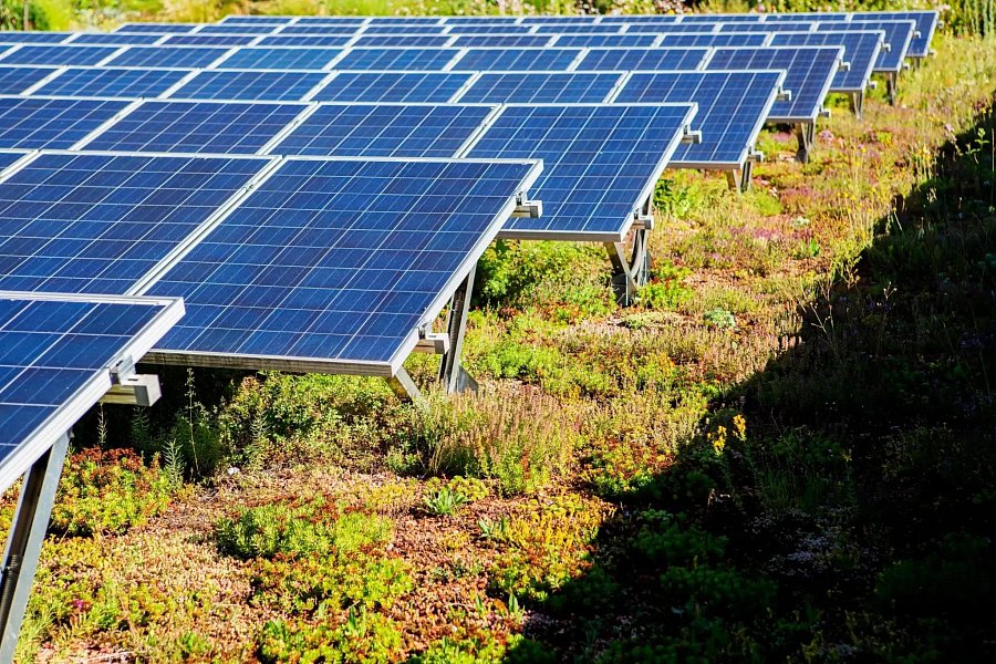 Wie man Photovoltaik richtig auf Biosolaranlagen montiert